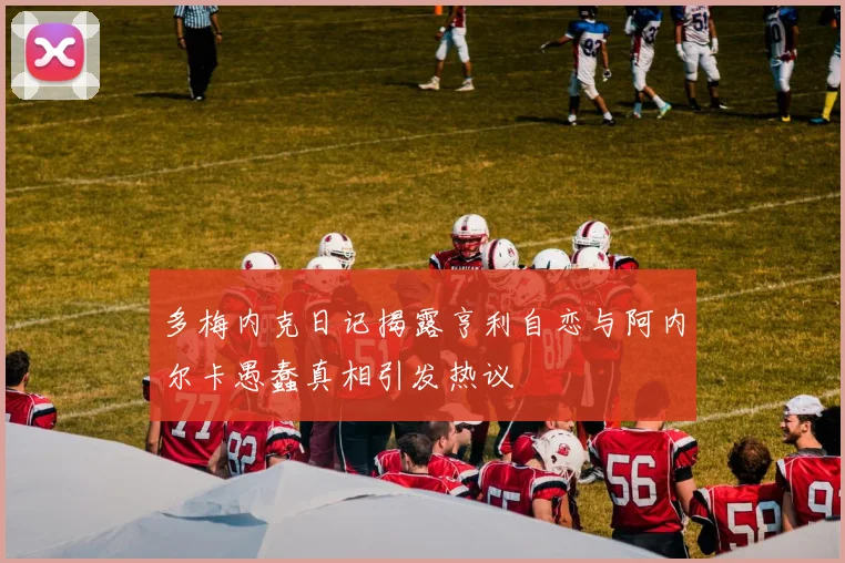 多梅内克日记揭露亨利自恋与阿内尔卡愚蠢真相引发热议